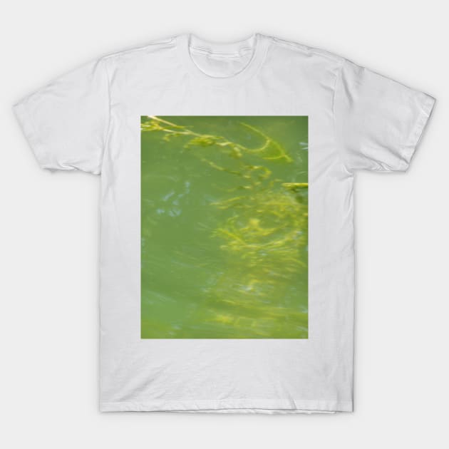 Algae Frond Macro T-Shirt by DlmtleArt